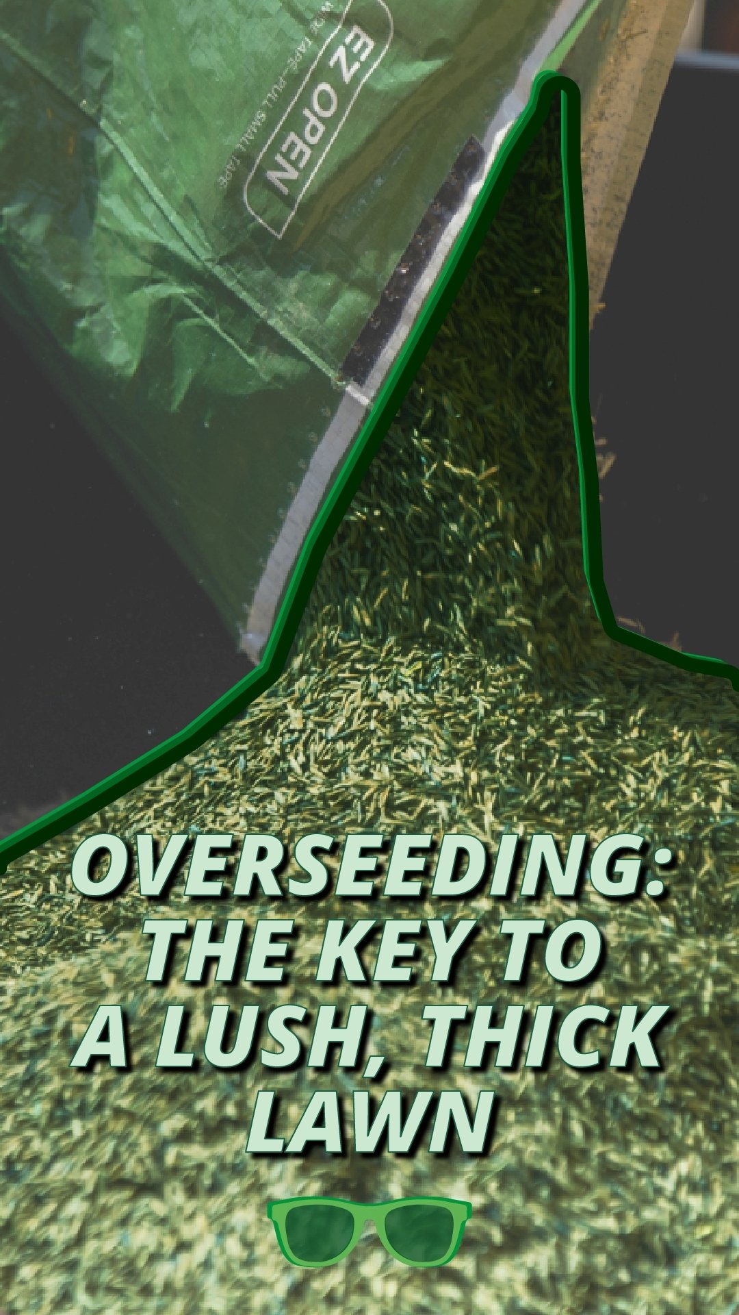 See why overseeding and aerating your lawn is the most important thing you  can do to for a thicker lawn.